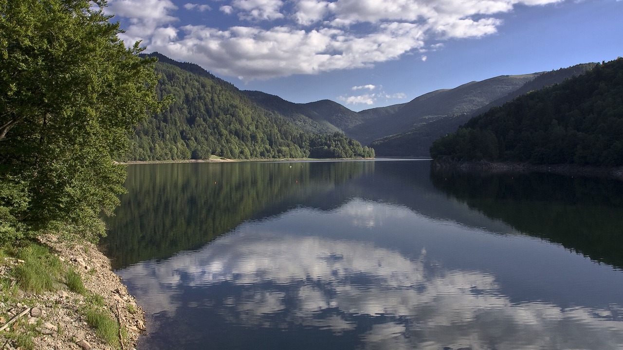 Photo of Others in Geishouse