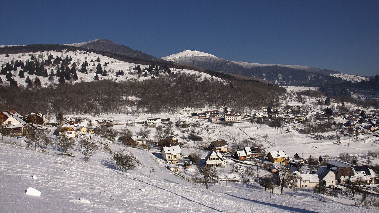 Photo of Others in Geishouse