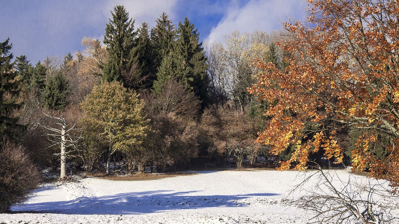 Photo of Others in Geishouse