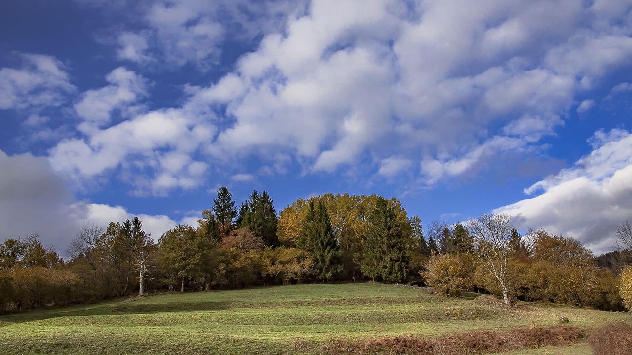 Photo of Others in Geishouse