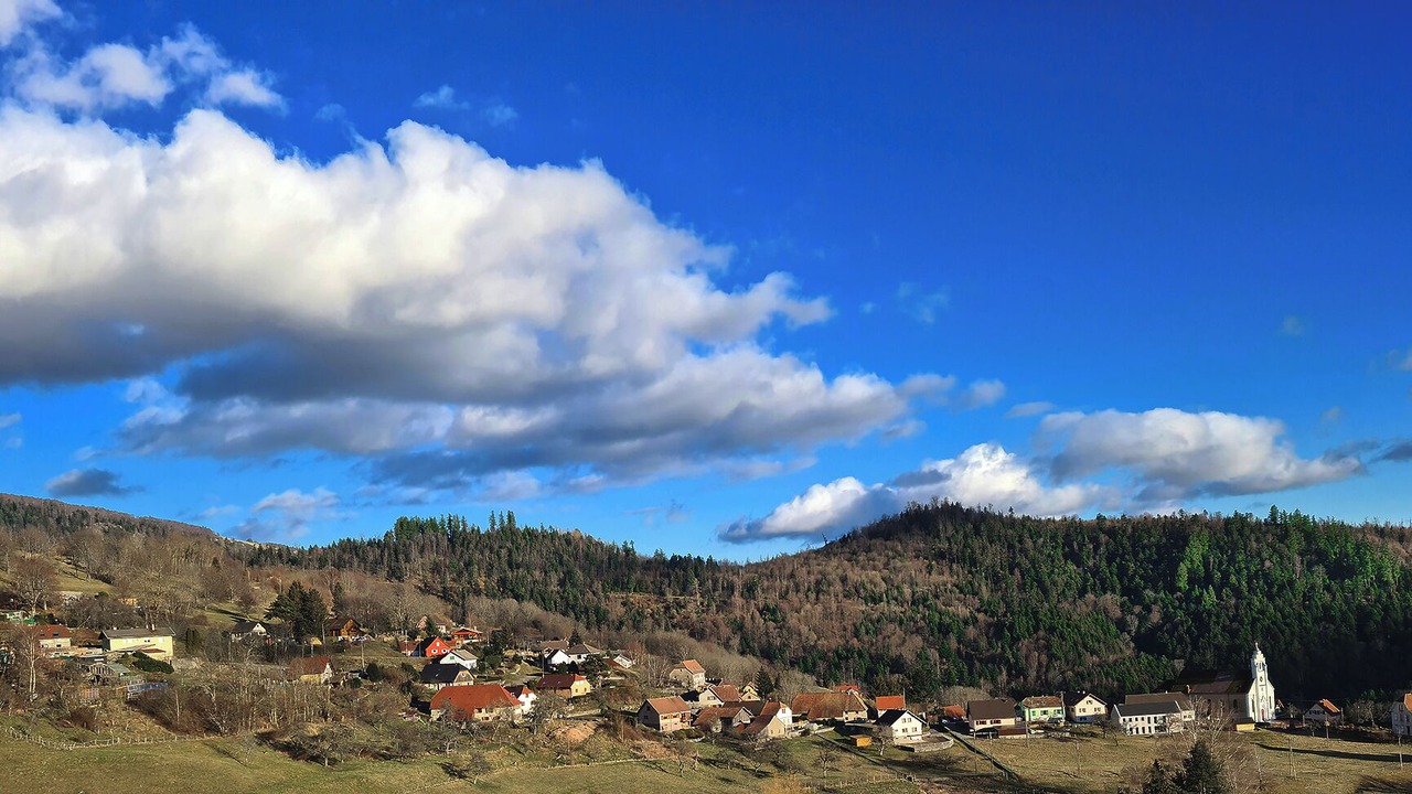 Photo of Others in Geishouse