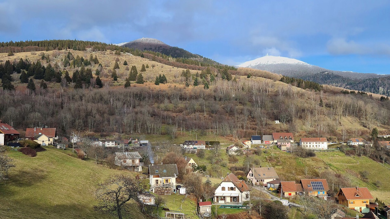 Photo of Others in Geishouse