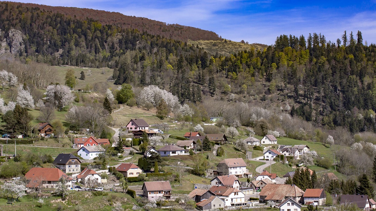 Photo of Outdoor in Geishouse