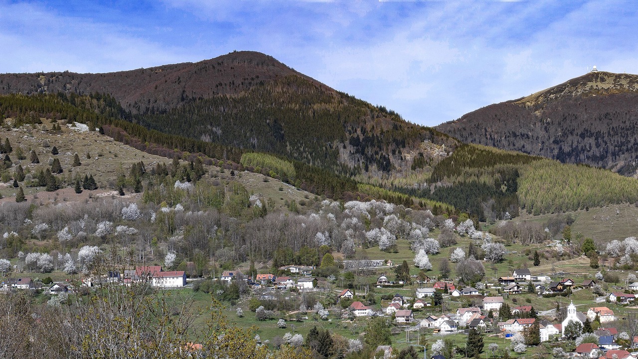 Photo of Outdoor in Geishouse