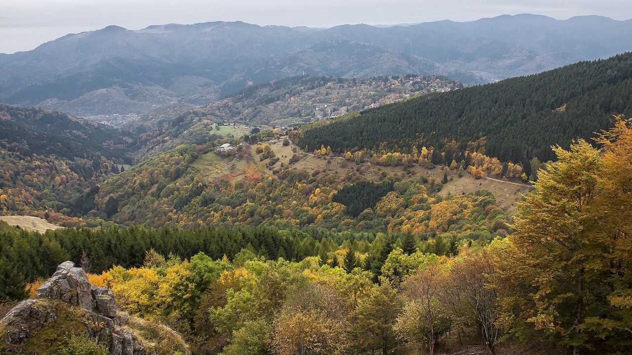 Photo of Outdoor in Geishouse