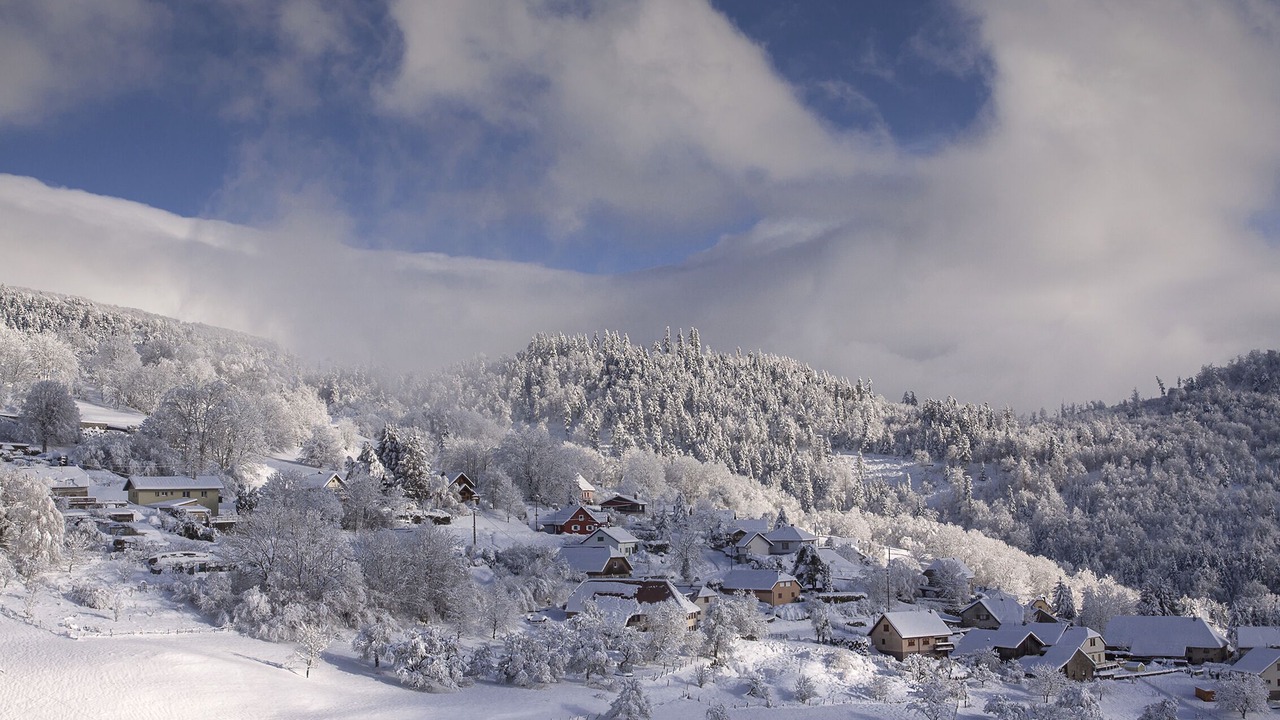 Photo of Outdoor in Geishouse