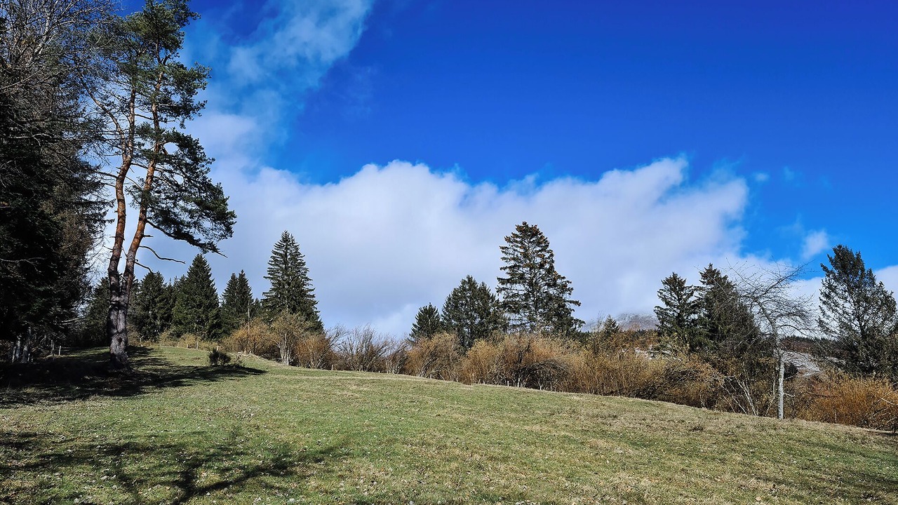 Photo of Others in Geishouse