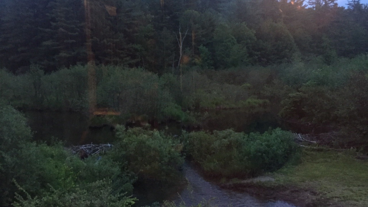 Photo of Others in Lake Luzerne