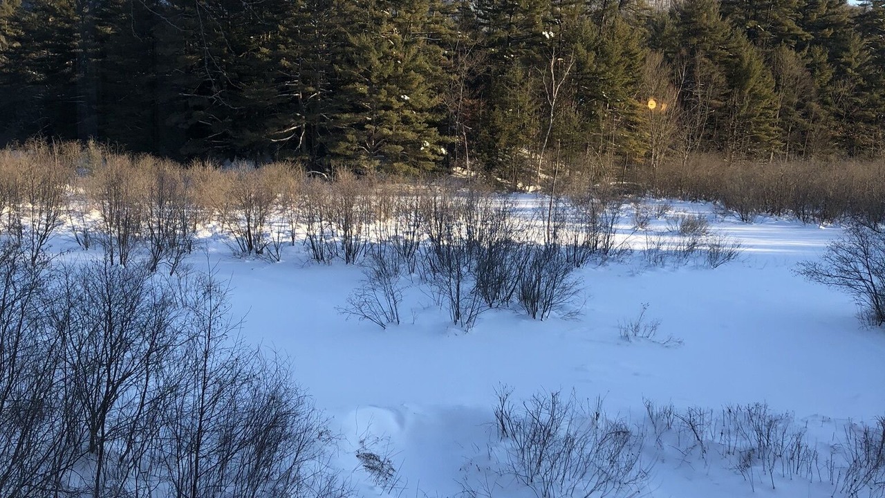 Photo of Others in Lake Luzerne