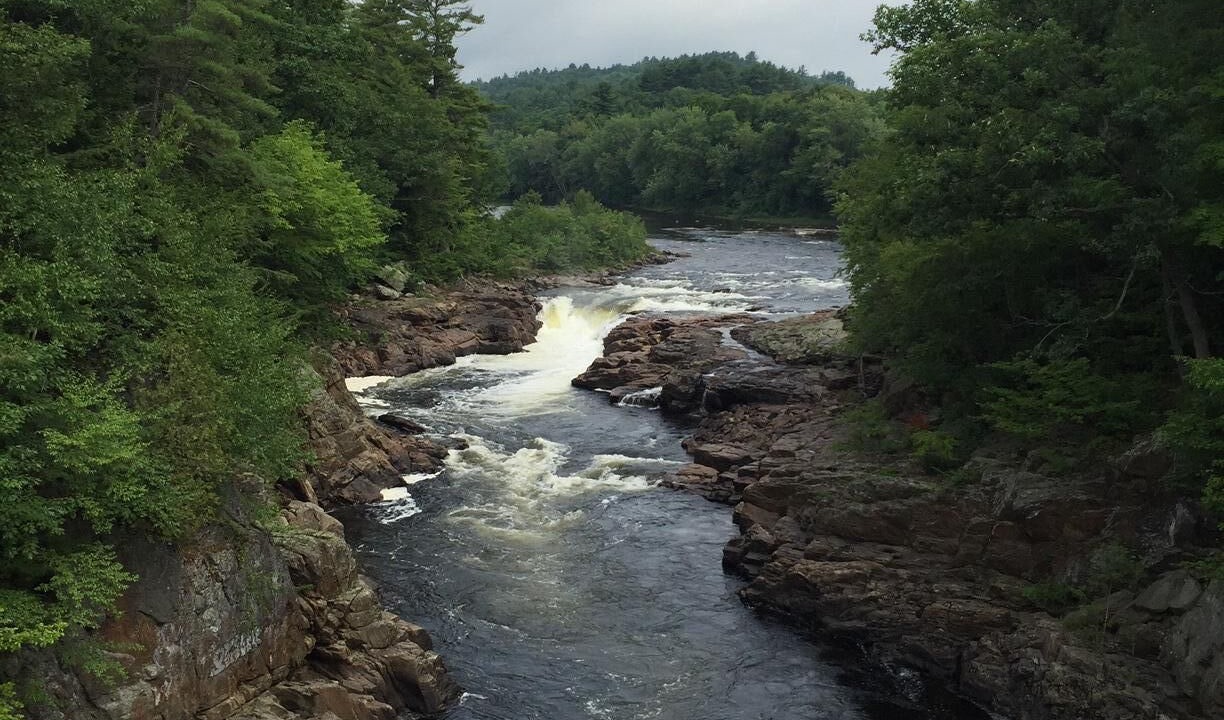 Photo of Others in Lake Luzerne