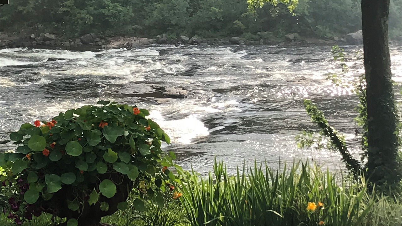 Photo of Others in Lake Luzerne