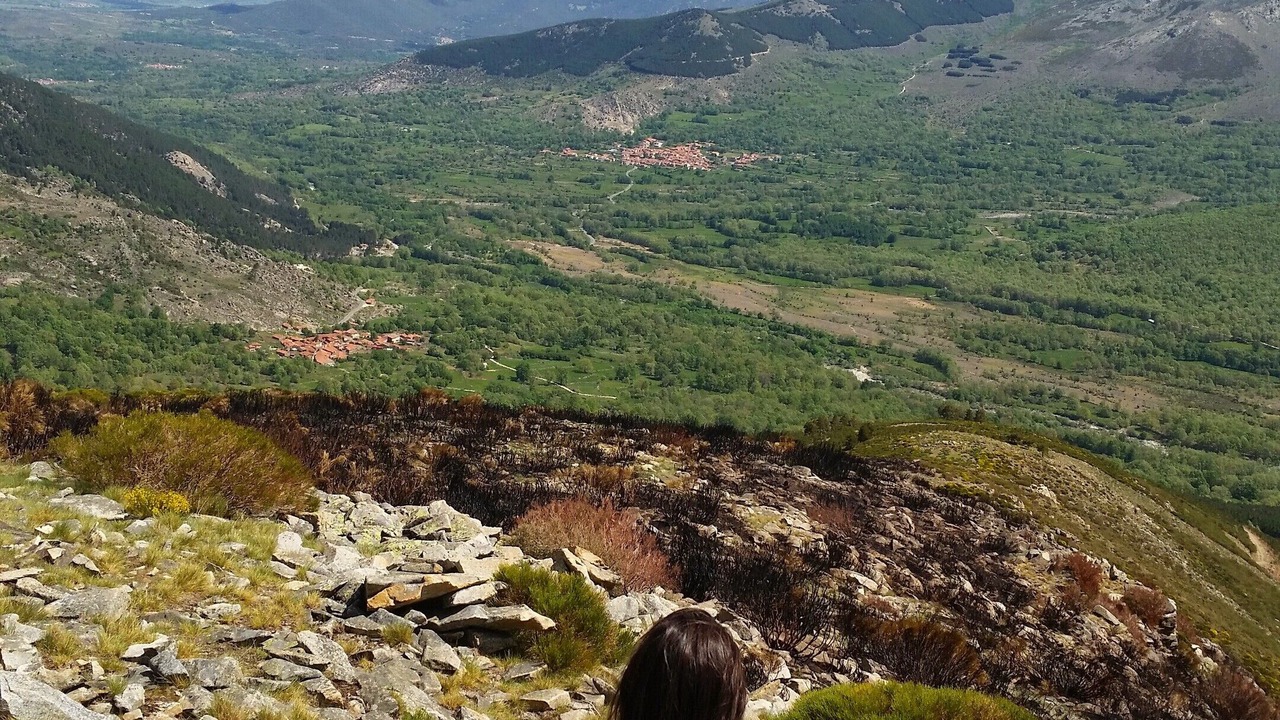 Photo of Others in Navalguijo