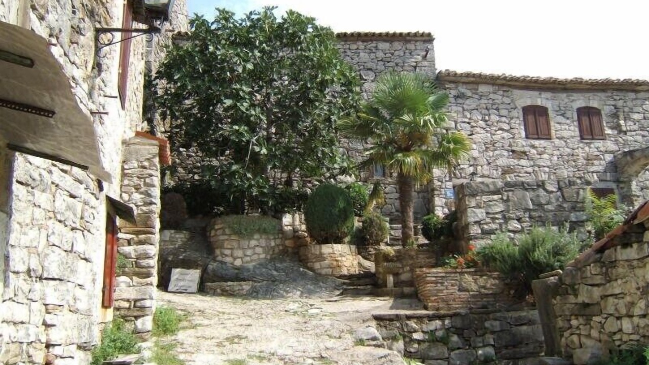 Photo of Others in Musalez