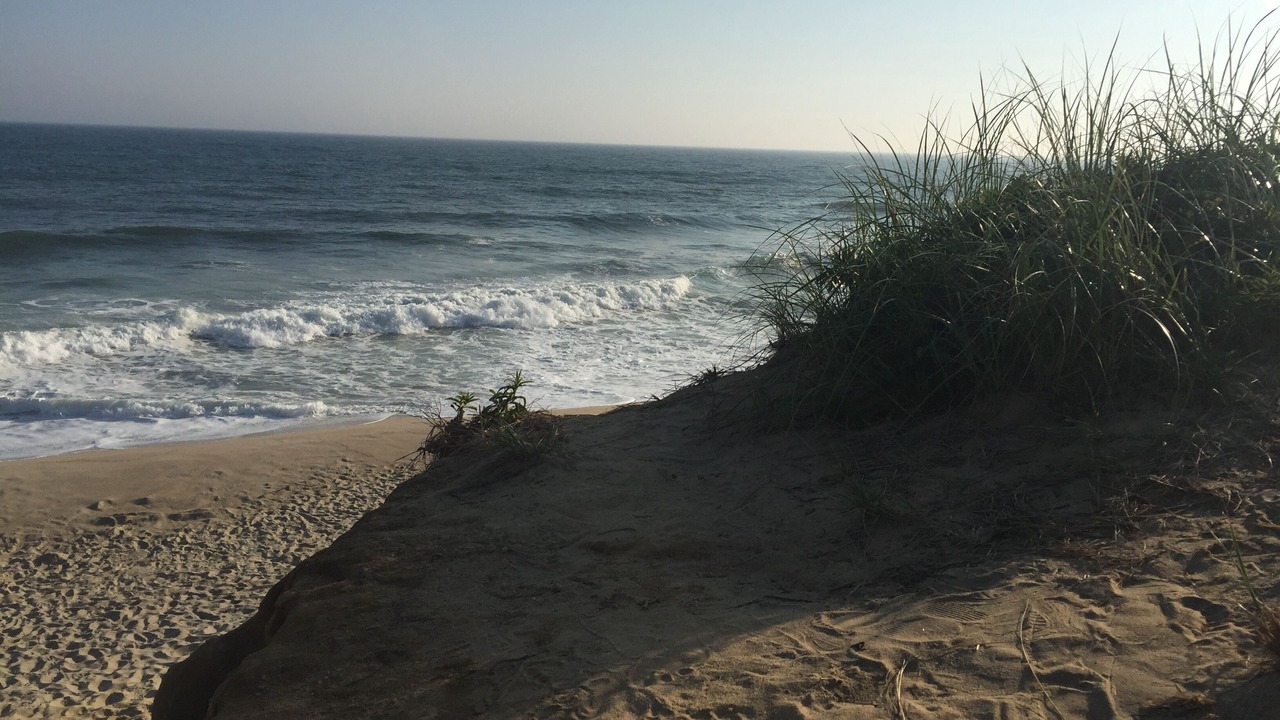 Photo of Others in Nantucket Town
