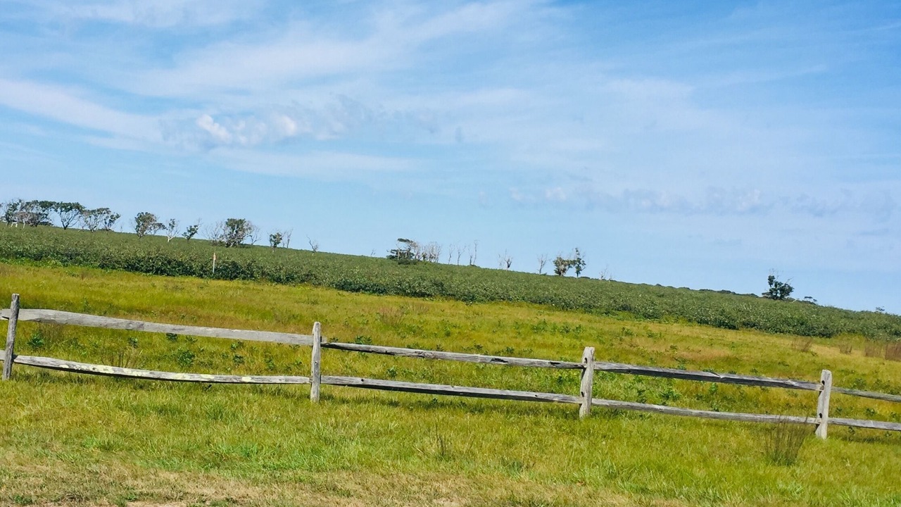 Photo of Outdoor in Nantucket Town