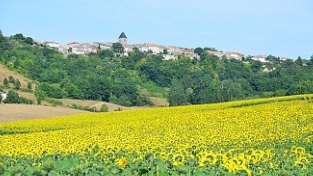 Photo of Others in Beauville