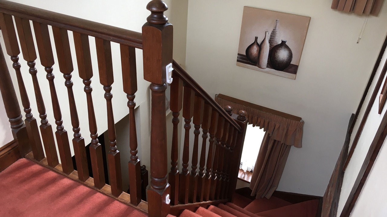 Photo of Others in New Forest District