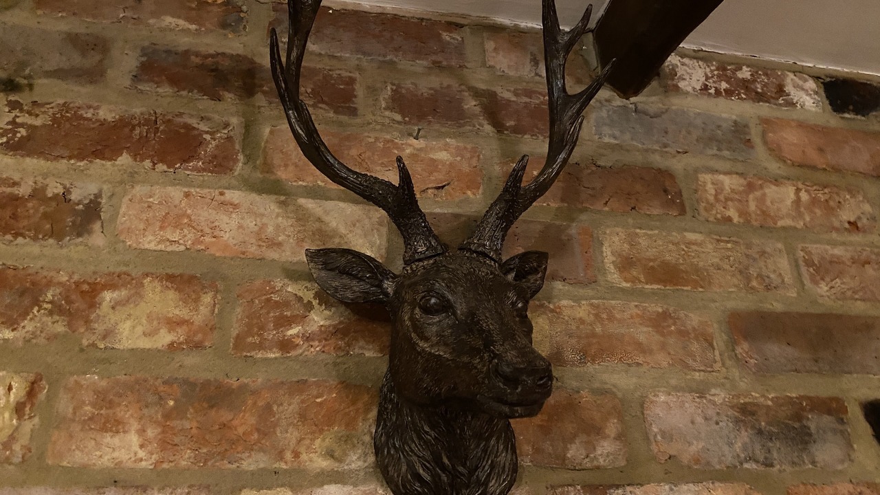 Photo of Others in New Forest District