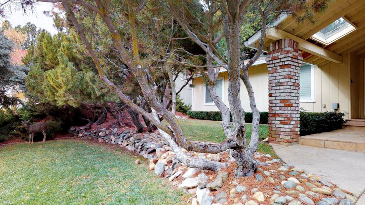 Photo of Outdoor in Groveland