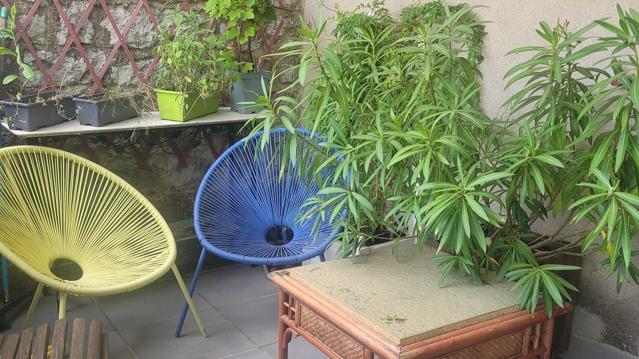 Photo of Outdoor in Ruoms