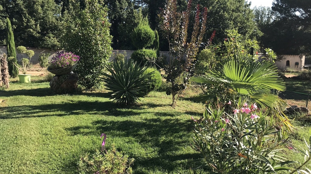 Photo of Outdoor in Bras