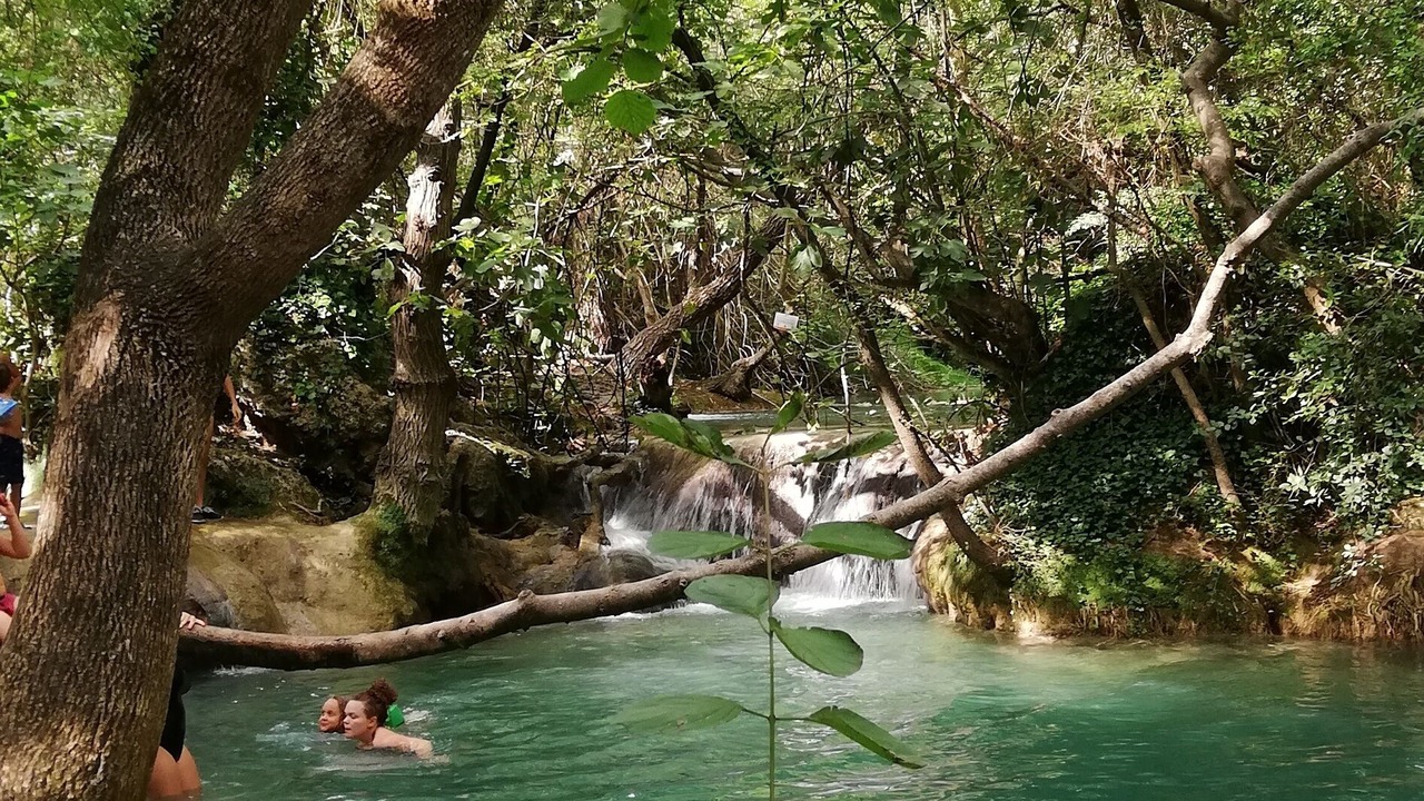 Photo of Others in Bras