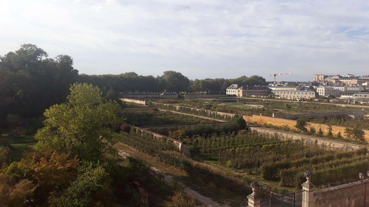 Photo of Others in Saint-Louis