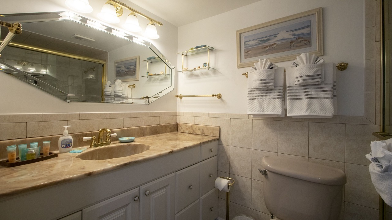 Photo of Bathroom in Daytona Beach Shores