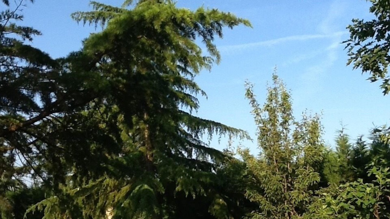 Photo of Outdoor in Bruguieres