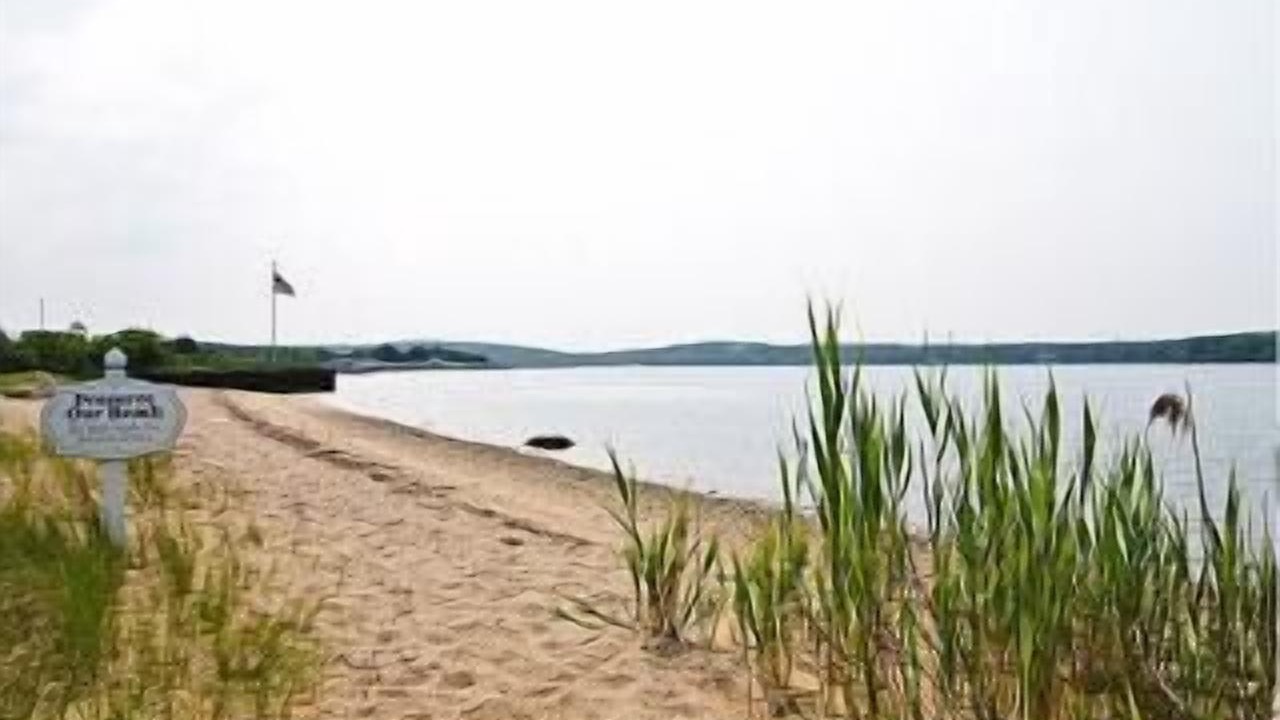 Photo of Others in Greenport West