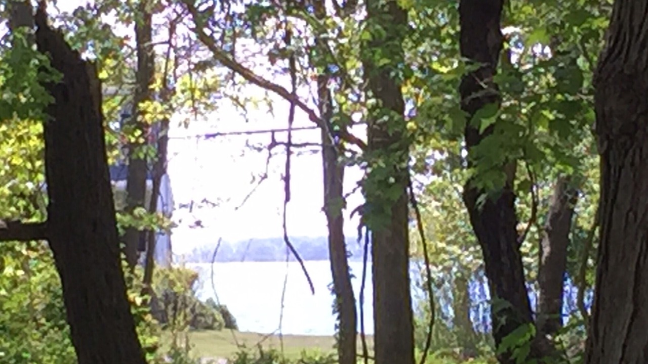 Photo of Patio Balcony in Greenport West