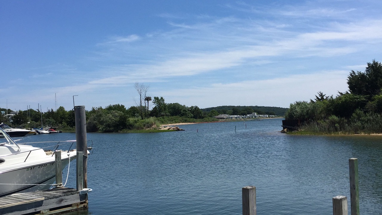 Photo of Others in Greenport West