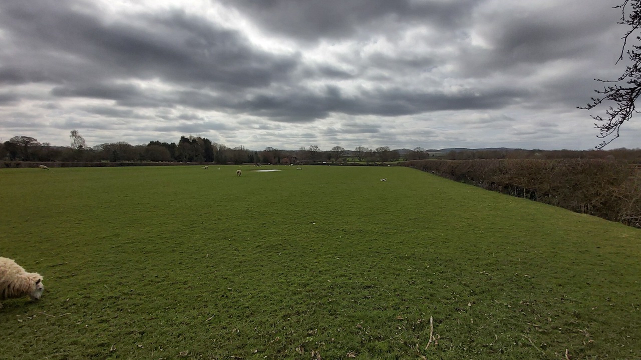 Photo of Others in Great Alne