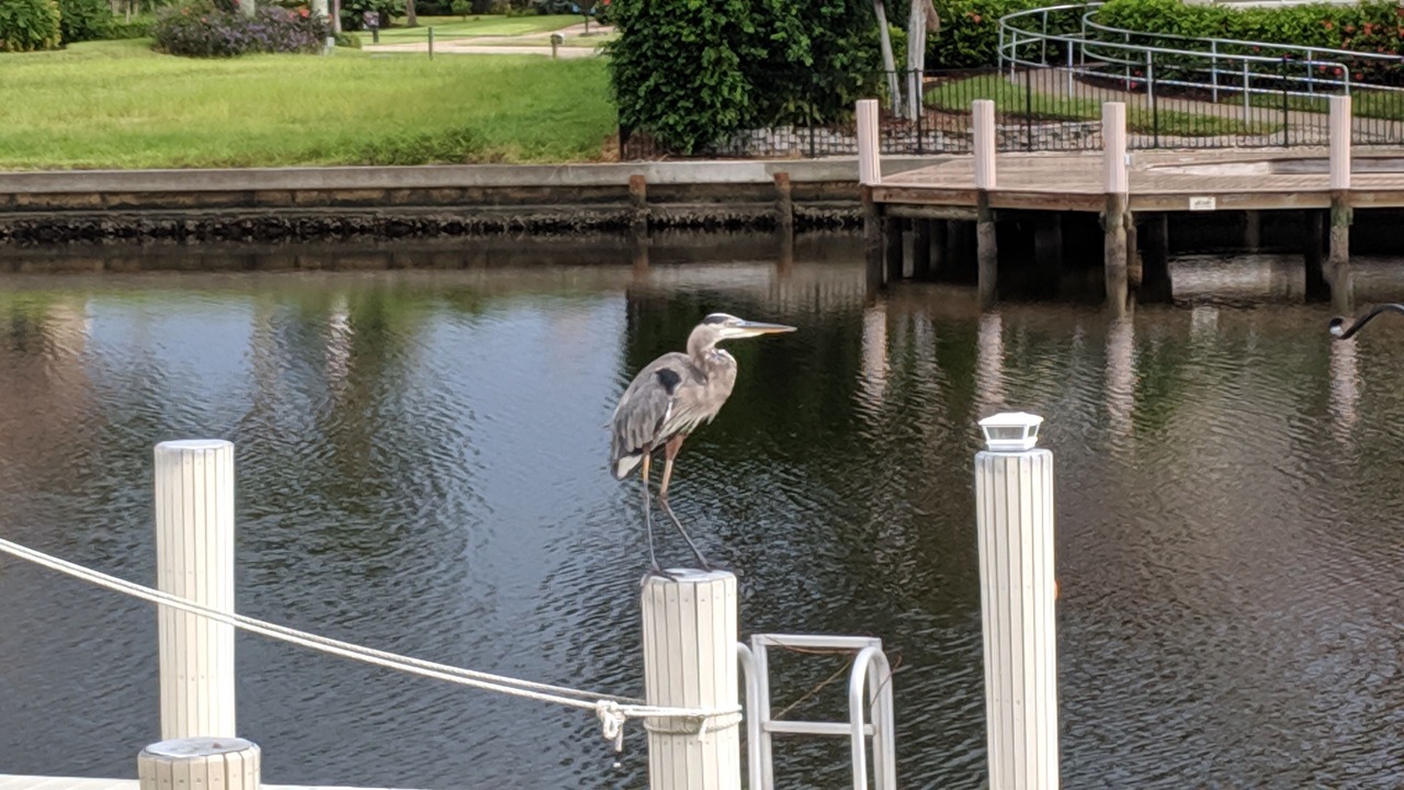 Photo of Others in Marco Island