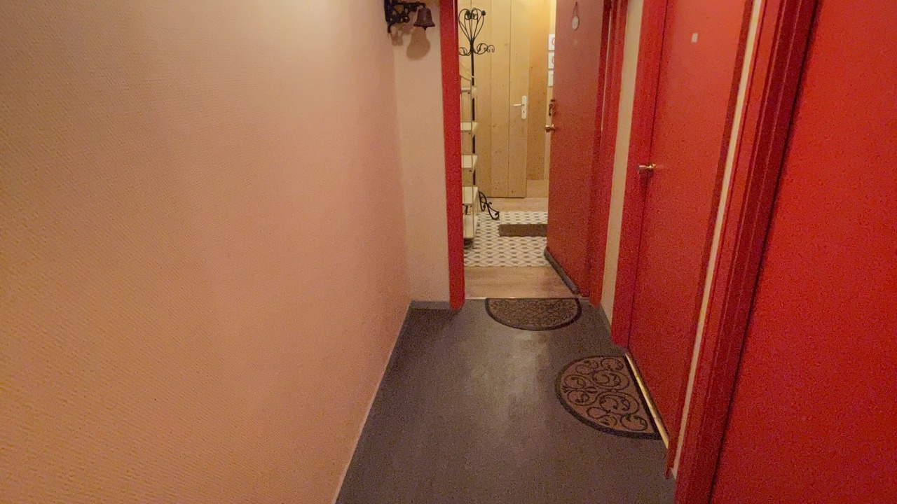 Photo of Others in Mont-Dore