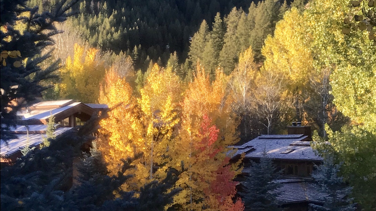 Photo of Others in Ketchum