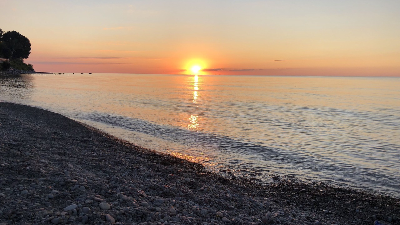 Photo of Others in Olcott