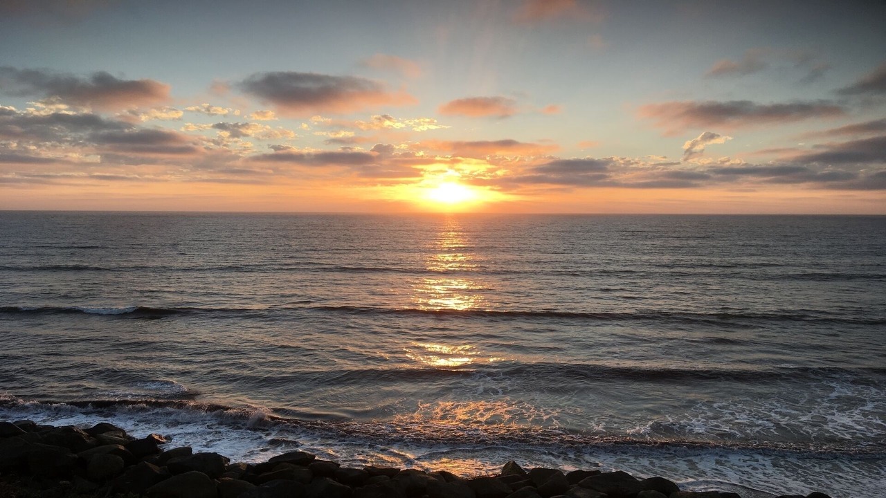 Photo of Others in Ocean Beach