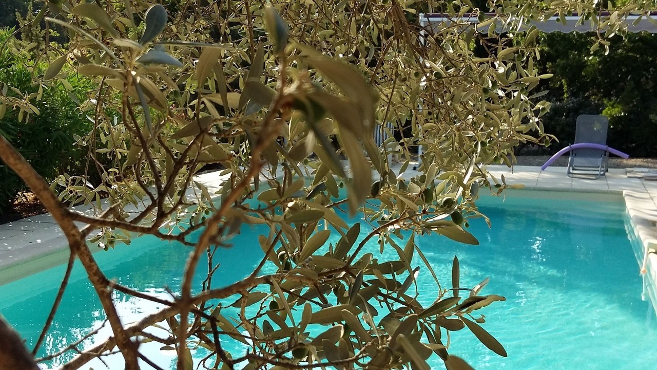 Photo of Outdoor in Tourtour