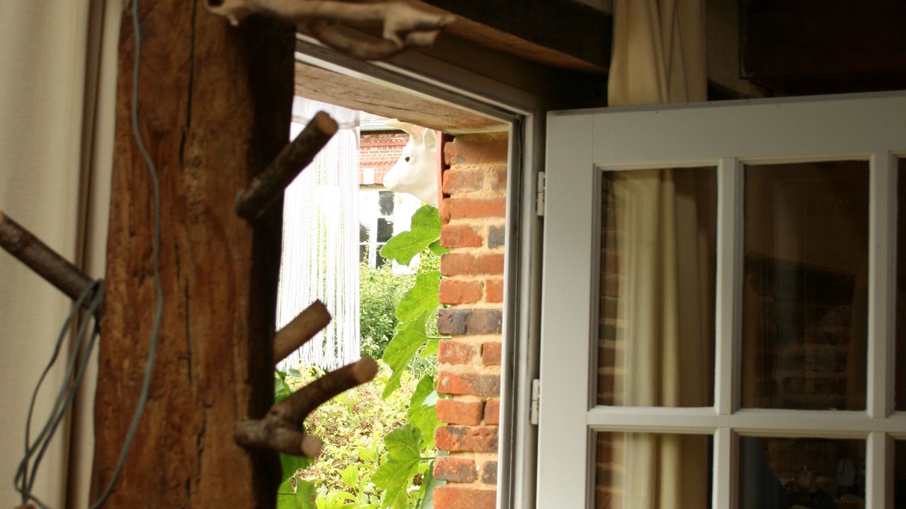 Photo of Outdoor in Sotteville-sur-Mer