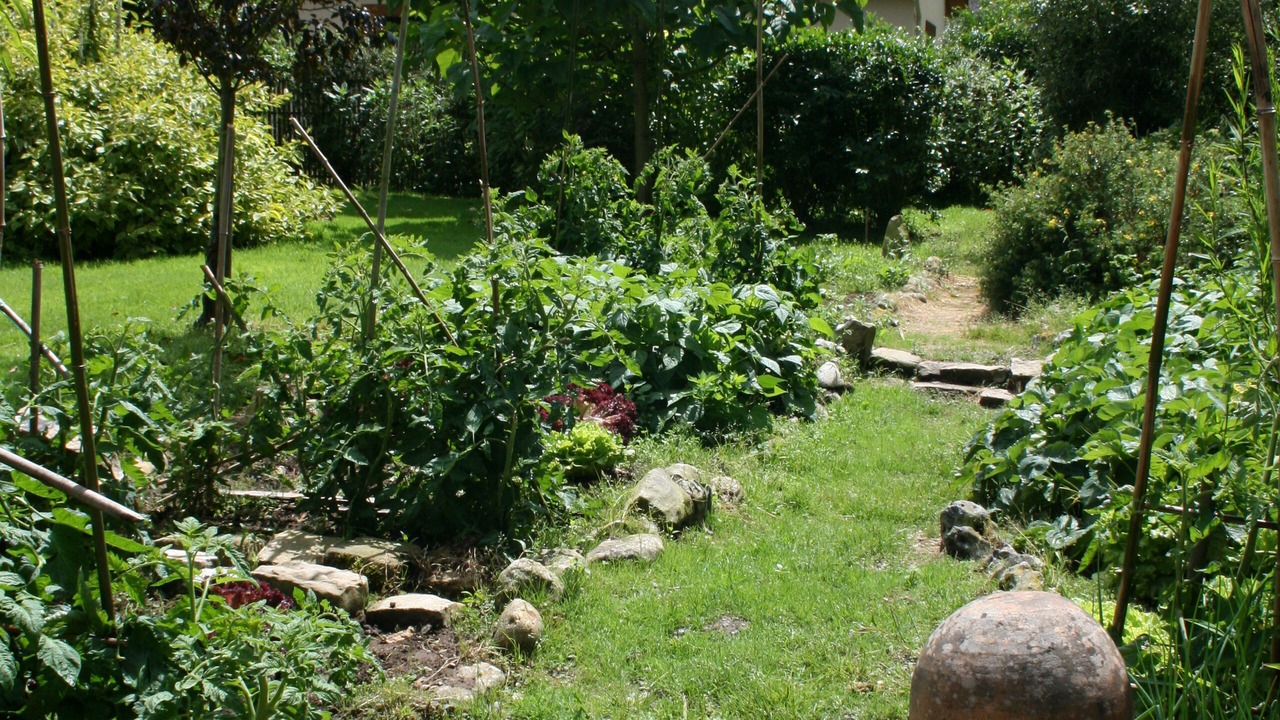 Photo of Outdoor in Sotteville-sur-Mer