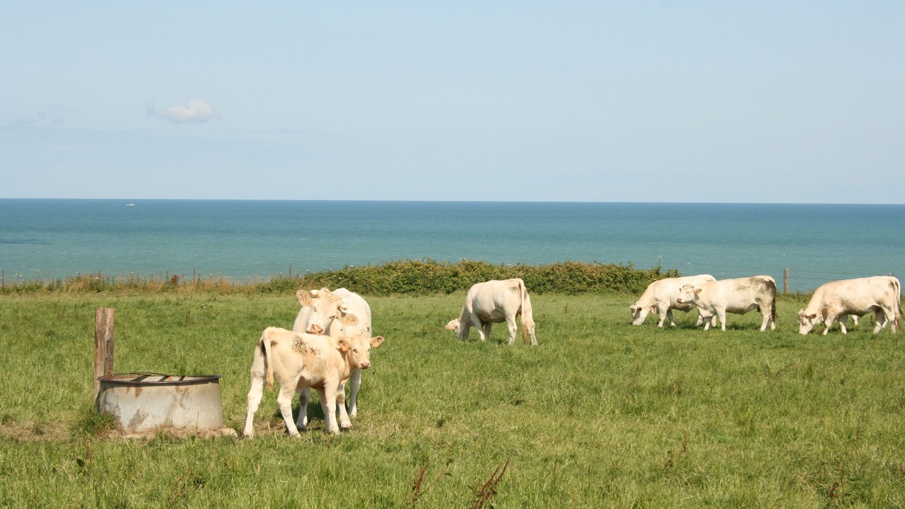 Photo of Outdoor in Sotteville-sur-Mer