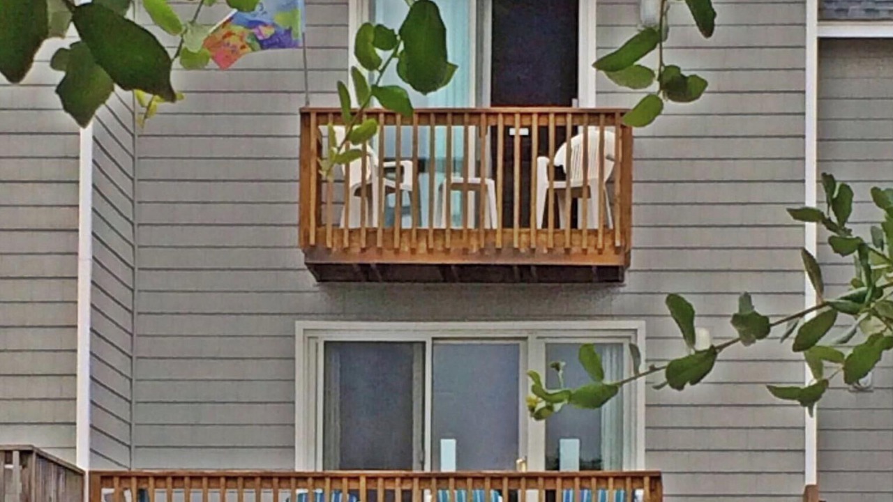 Photo of Outdoor in Duck