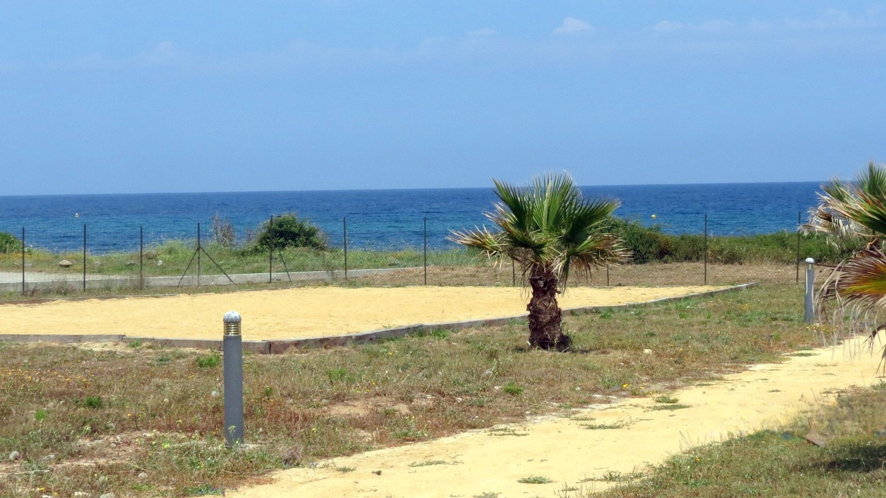 Photo of Others in Prunete