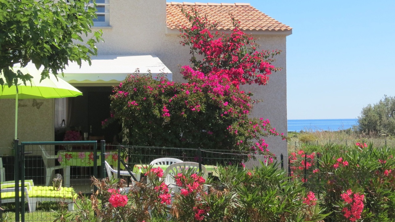 Photo of Outdoor in Prunete