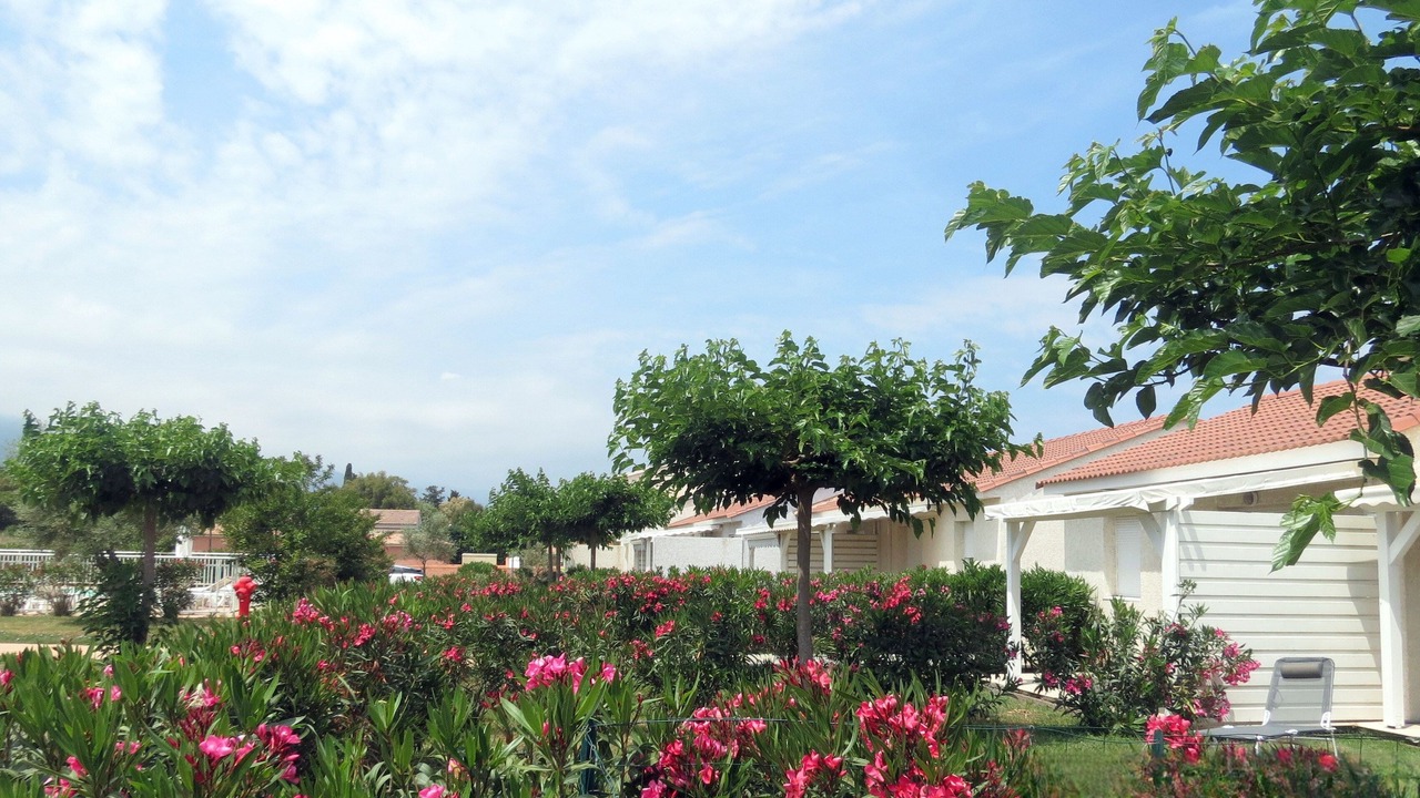 Photo of Outdoor in Prunete