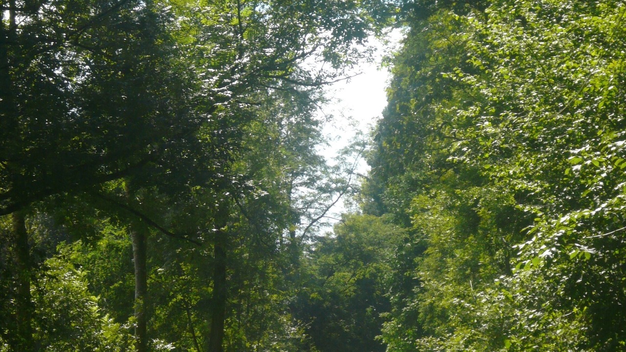 Photo of Others in Aramits