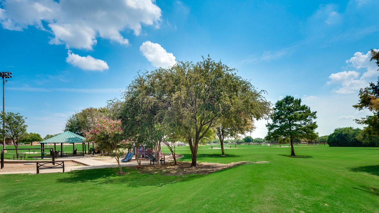 Photo of Others in Plano