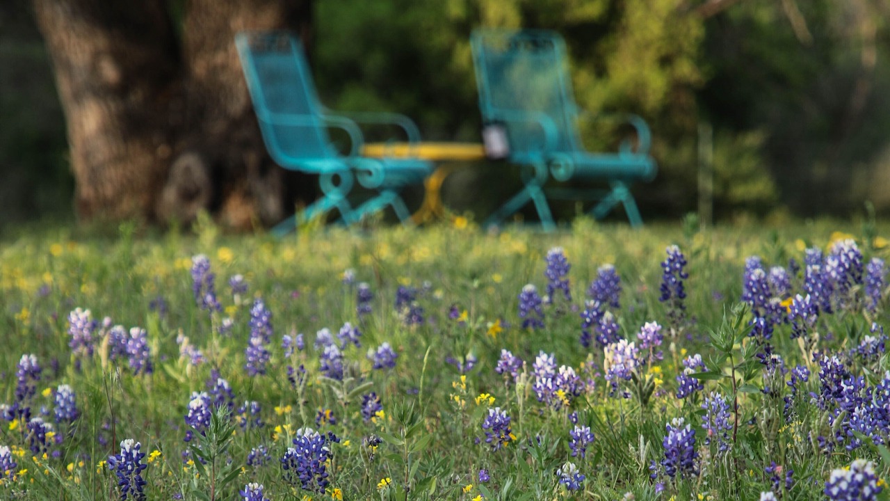 Photo of Outdoor in Marble Falls