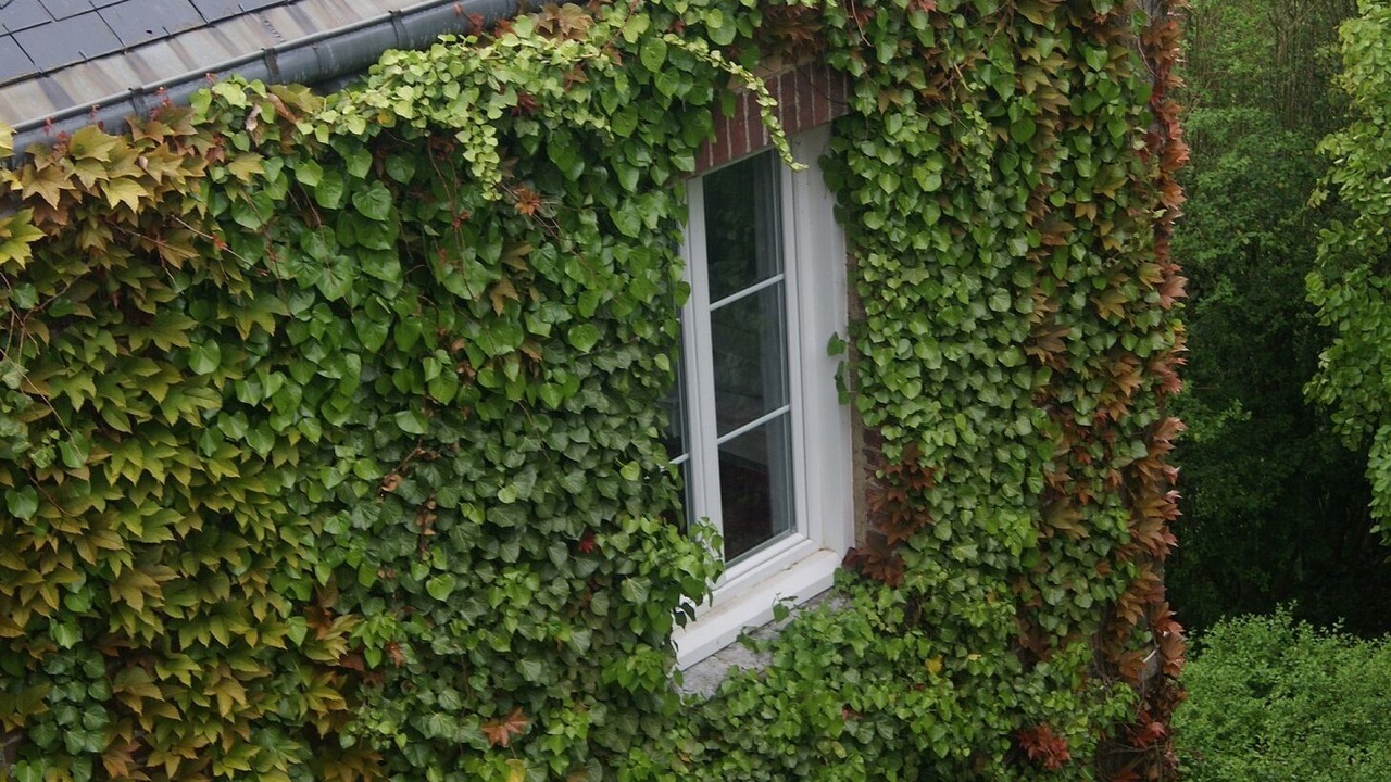 Photo of Outdoor in Sainte-Marguerite-sur-Mer